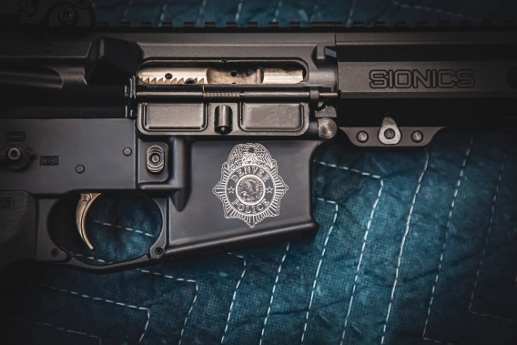 DPD_Banner » SIONICS Weapon Systems